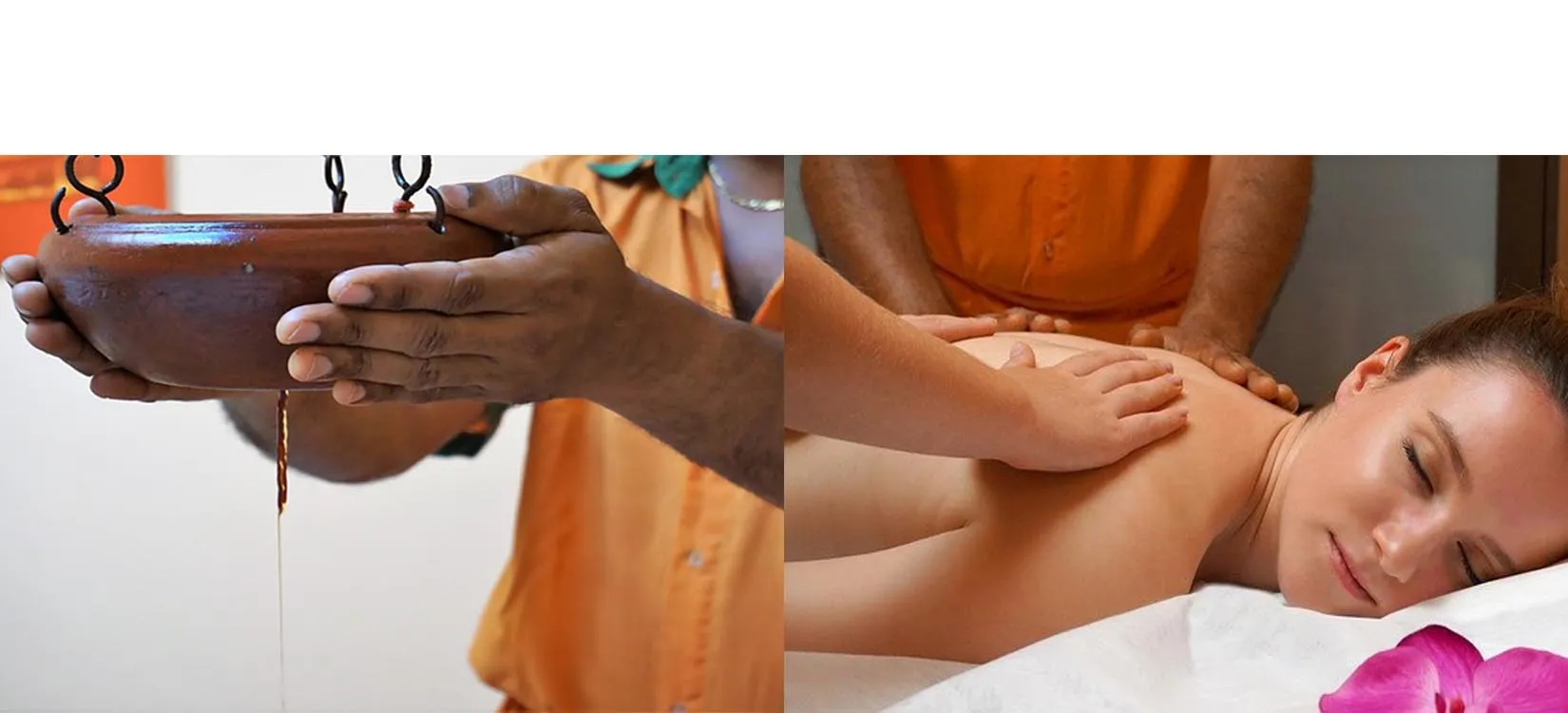 Ayush Tree Health Care 