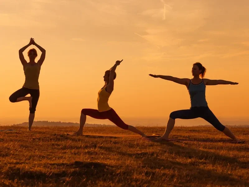Aastha Yoga Panchkarma Center By Shadanga Kerala Ayurveda India