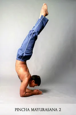Nandasiri Hatha Yoga Dojo Colombo