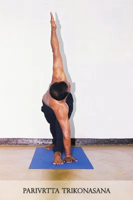 Nandasiri Hatha Yoga Dojo Colombo