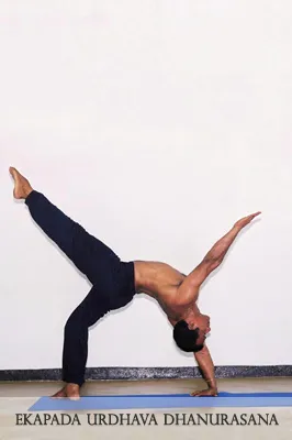 Nandasiri Hatha Yoga Dojo
