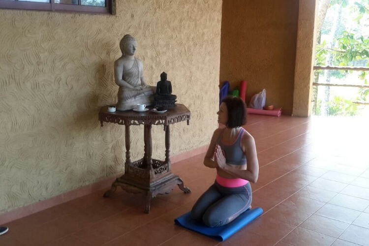 laluna ayurveda retreat21682942257.jpg