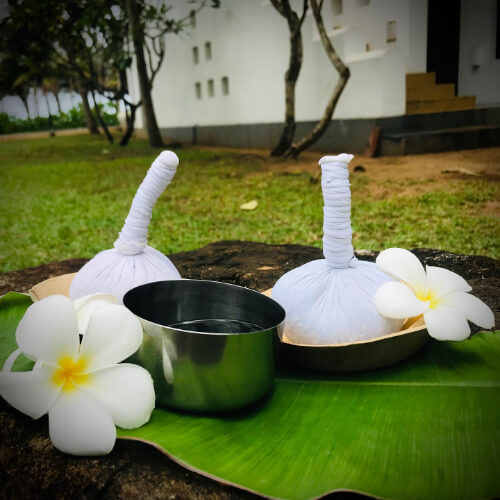 the privilege ayurveda resort111682939184.jpg