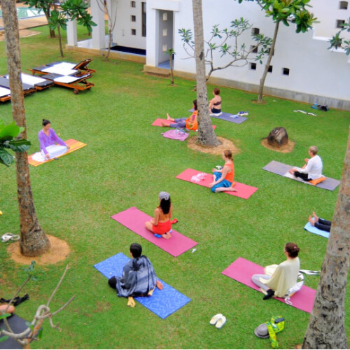 the privilege ayurveda resort131682939186.jpg
