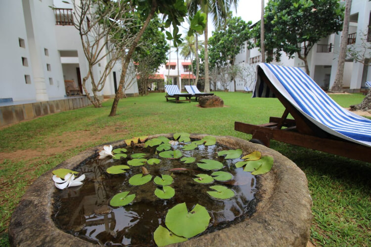 the privilege ayurveda resort151682939187.jpg