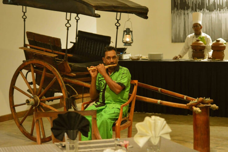 the privilege ayurveda resort21682939176.jpg