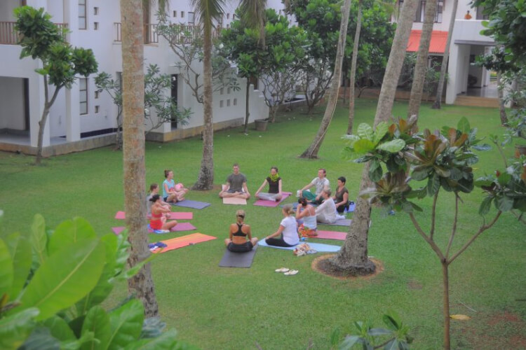 the privilege ayurveda resort311682939195.jpg