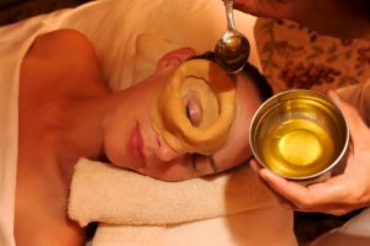the privilege ayurveda resort341682939197.jpg