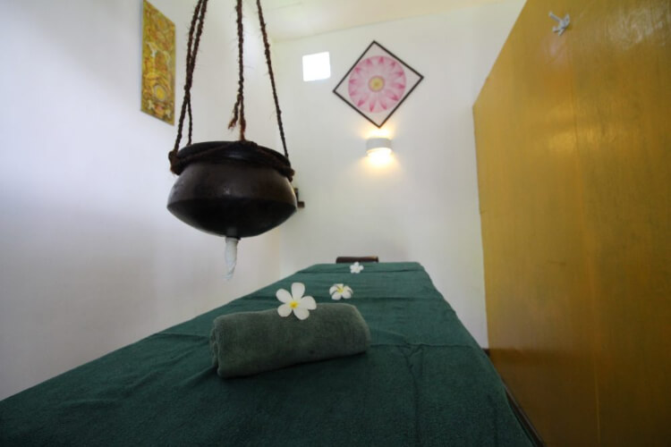 the privilege ayurveda resort431682939199.jpg