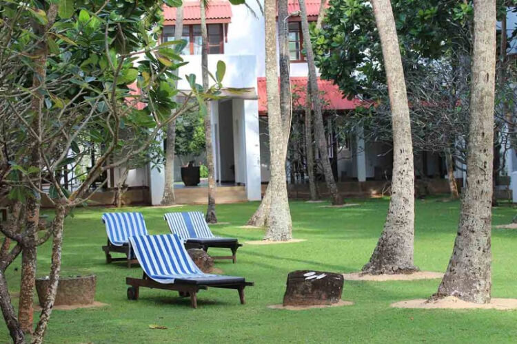 the privilege ayurveda resort441682939199.jpg