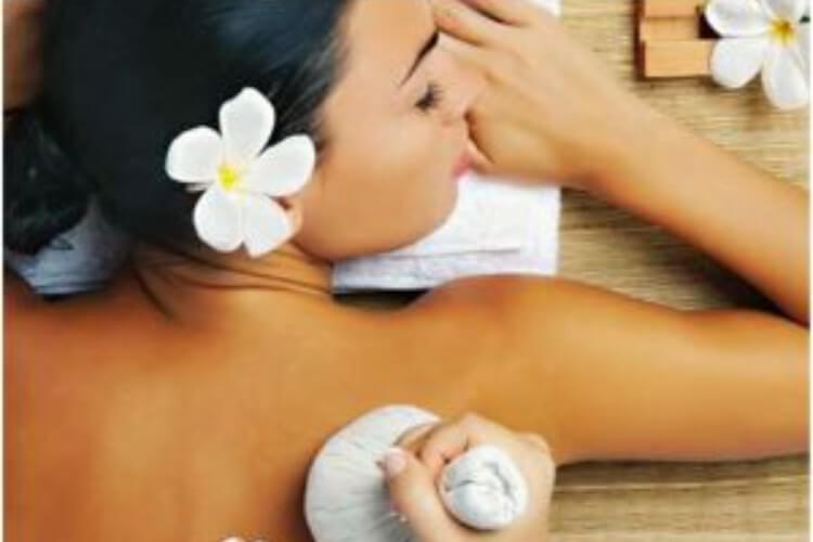 the privilege ayurveda resort491682939202.jpg