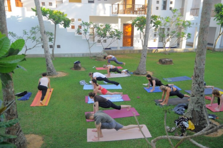 the privilege ayurveda resort681682939205.jpg
