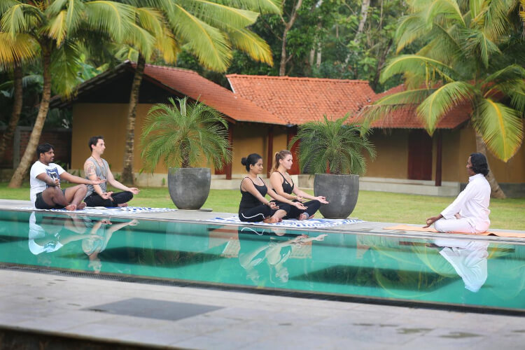 villa velmarie and ayurveda resort191682939791.jpg