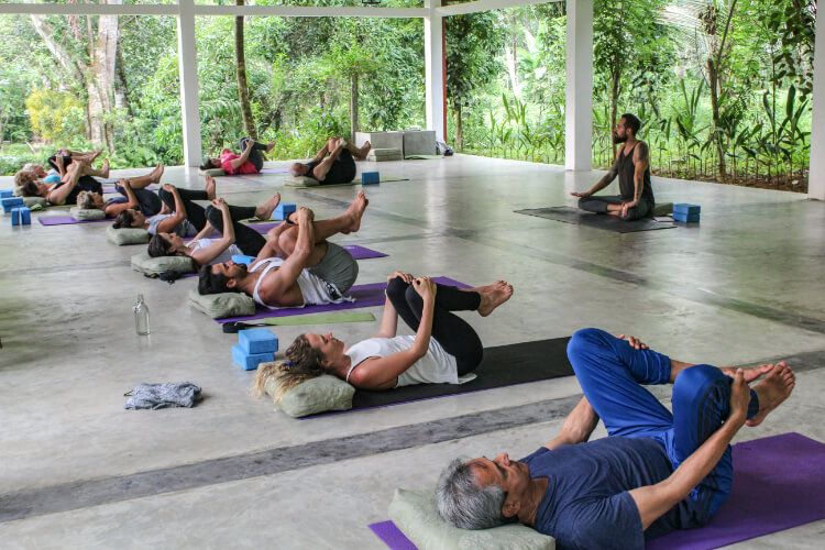 the plantation villa ayurveda and yoga resort311687336016.jpg