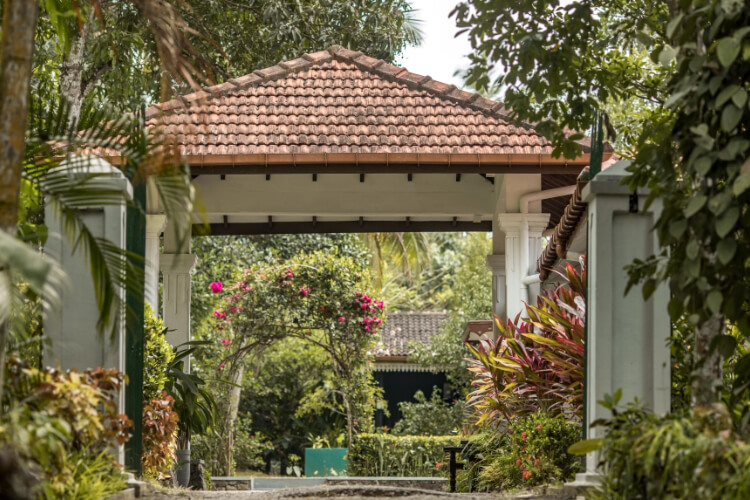 the plantation villa ayurveda and yoga resort471687336022.jpg