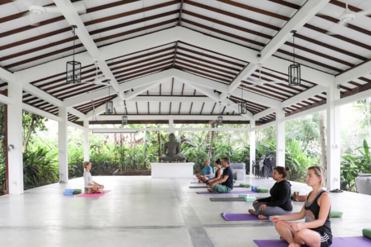 the plantation villa ayurveda and yoga resort61687336012.jpg