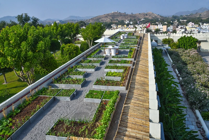 3. organic terrace garden (view from the garden suite) - raas devigarh x ravi solanki1729163176.webp