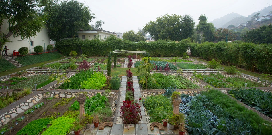 5. organic garden - raas devigarh x ravi solanki1729163176.webp