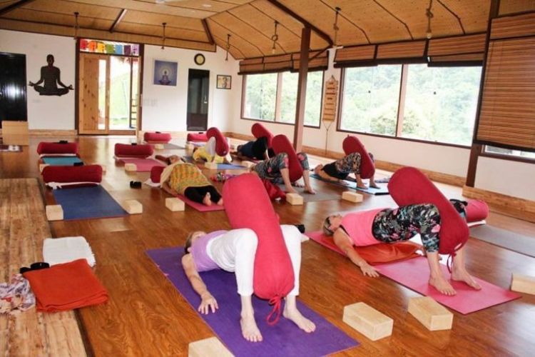 veda 5 wellness retreat rishikesh (40)1741601419.jpg
