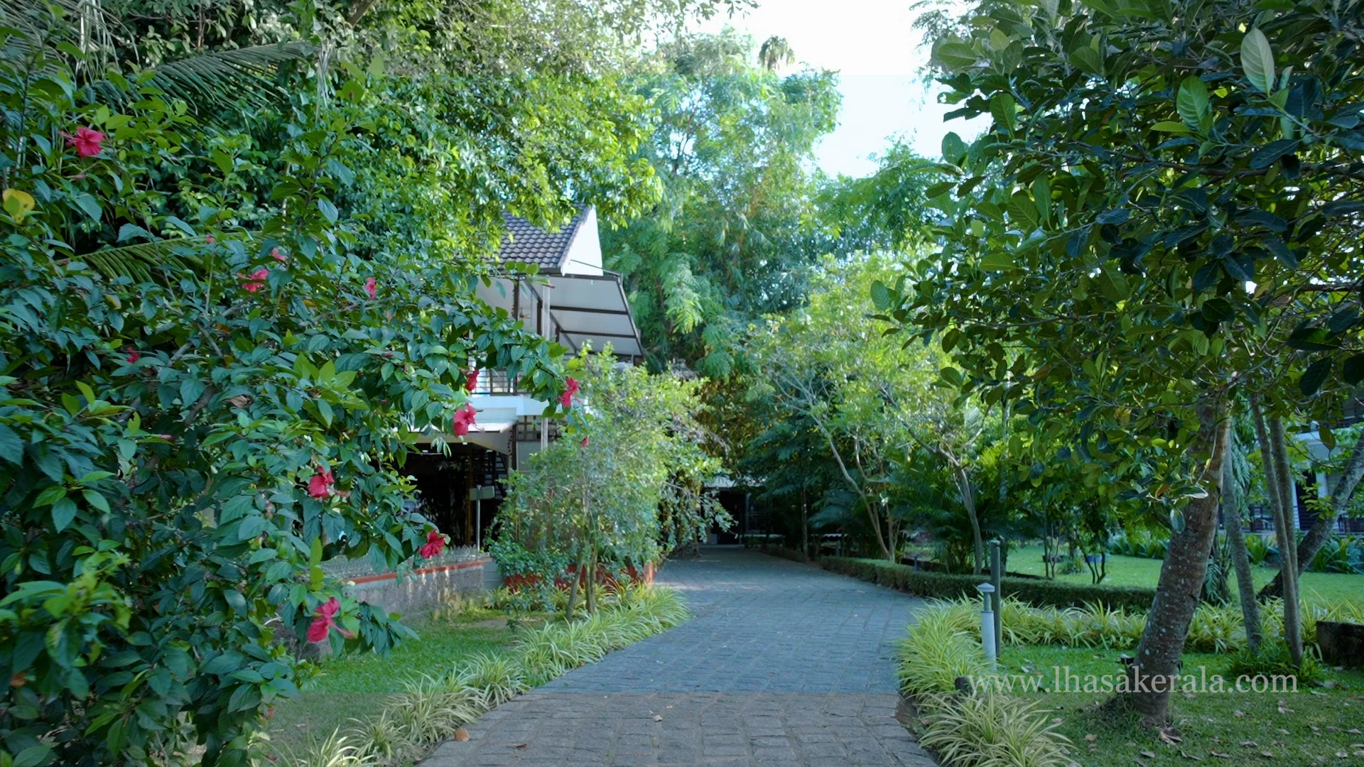 bg1744877163.webp