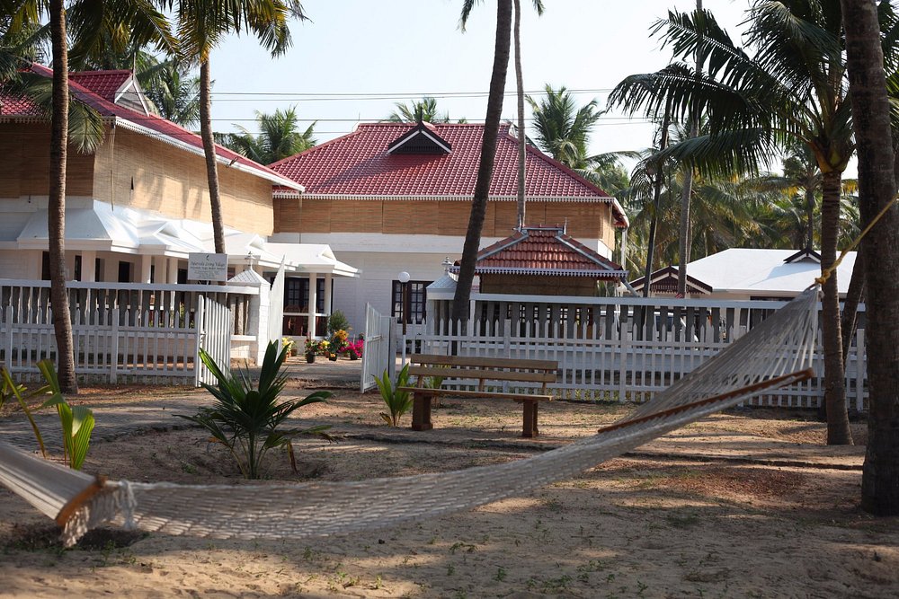 veda5 ayurveda wellness kerala (17)1744977351.jpg