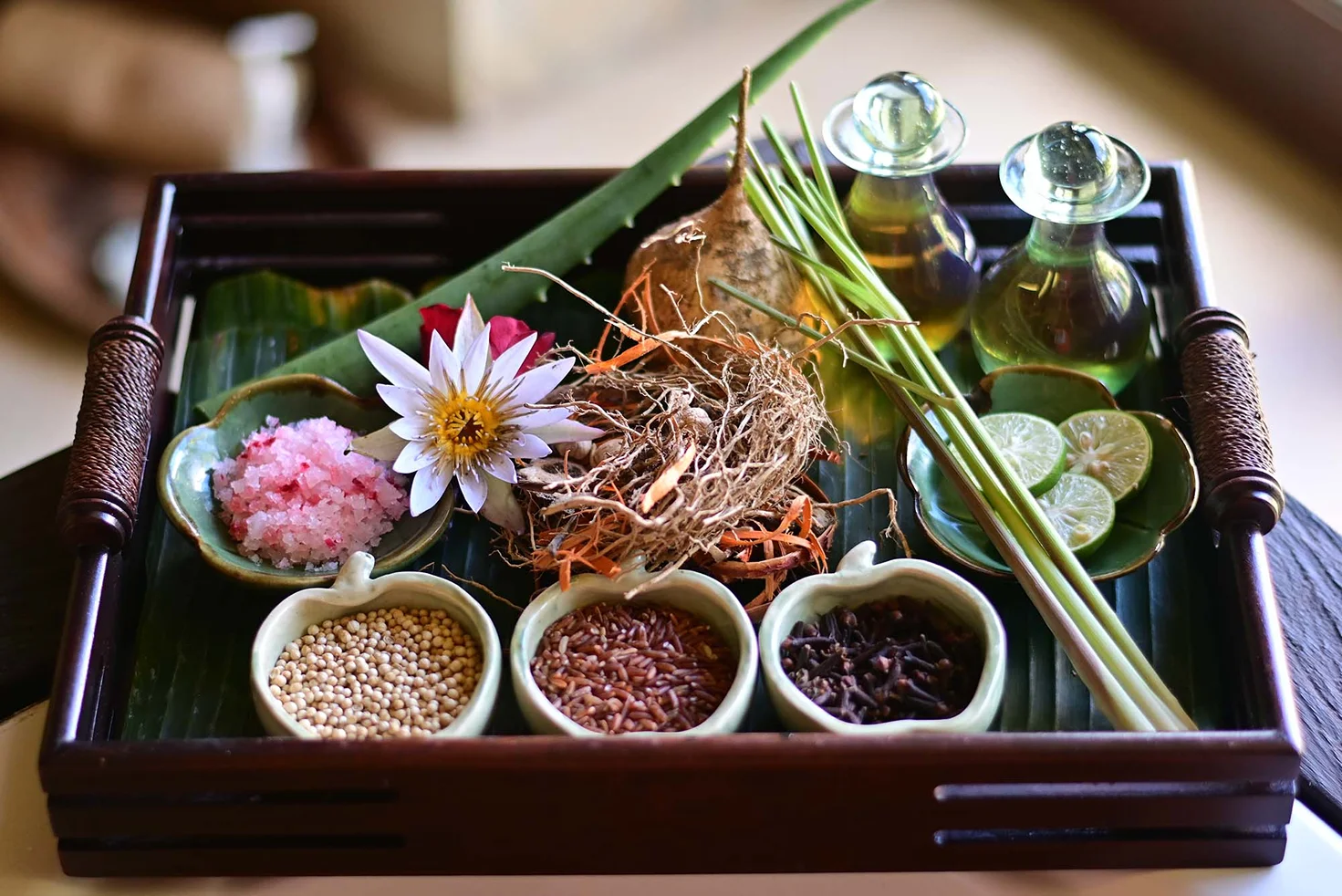 bagus jati health & wellbeing retreat (130)1745658618.webp