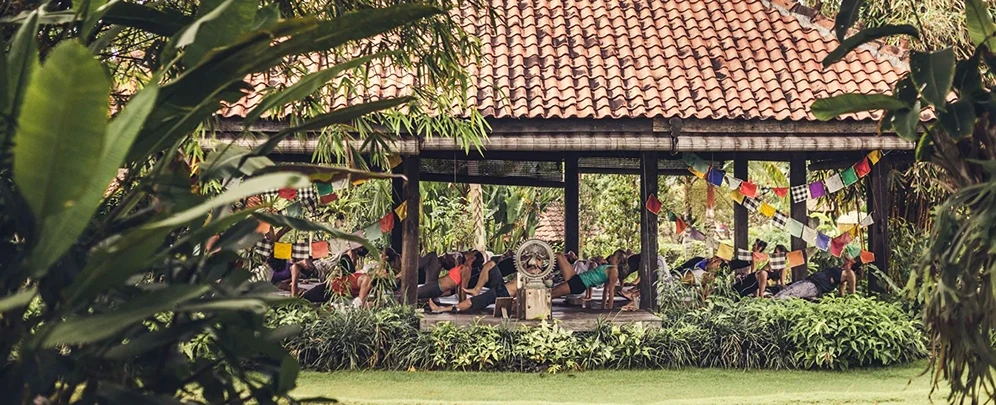 desa seni (5) (1)1746082153.webp