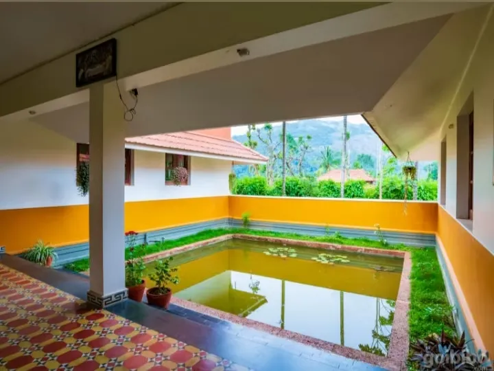 wayanad ayurveda (69)1746596120.webp