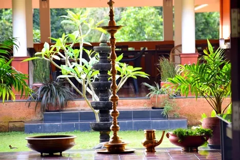 wayanad ayurveda (70)1746596121.webp
