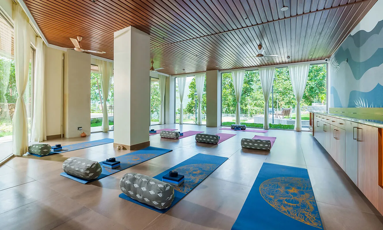 vileen wellness (3)1746707133.webp