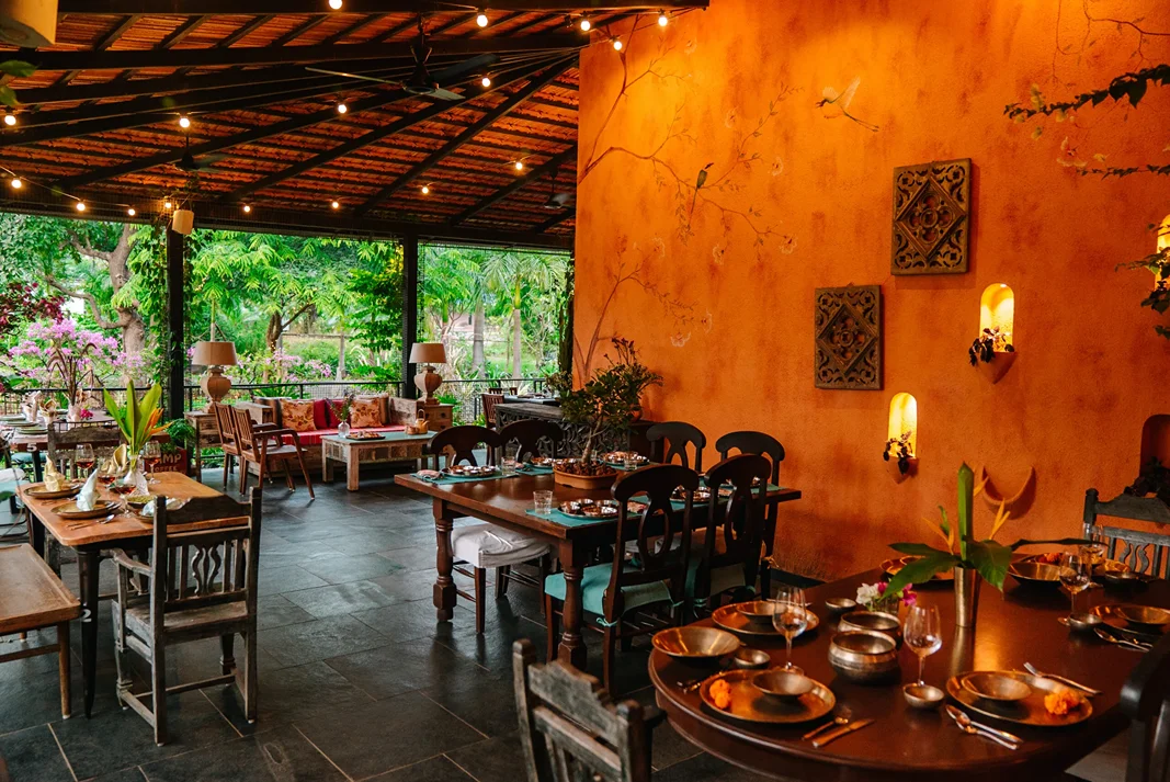tooth mountain farms (15)1748421494.webp