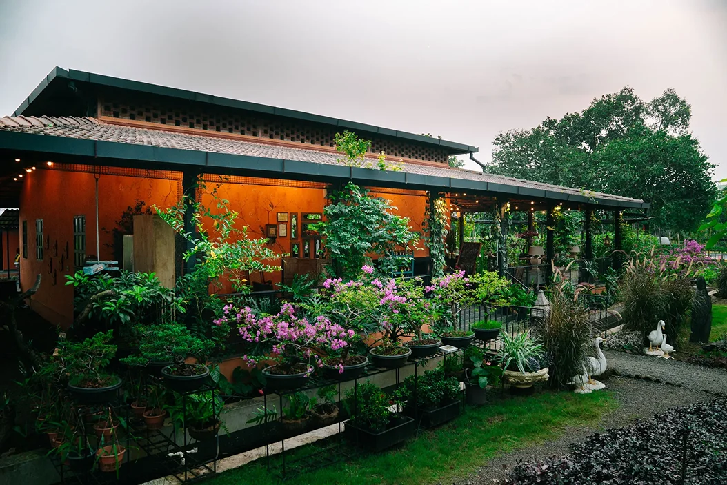 tooth mountain farms (17)1748421492.webp