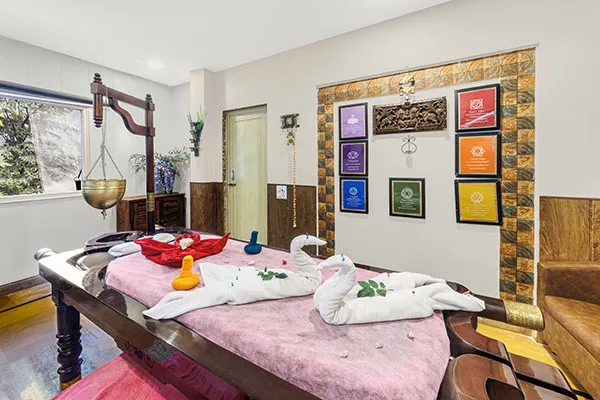 best-ayurveda-panchakarma-naturopathy-clinic-retreat-in-rishikesh-kerala-goa-india-veda51749467904.webp