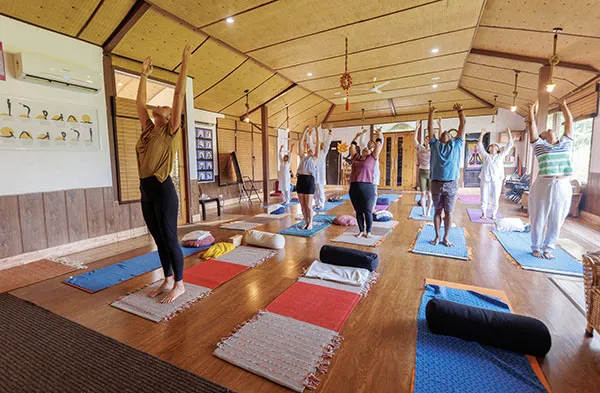 best-yoga-meditation-wellness-retreat-ayurveda-panchakarma-naturopathy-clinic-in-rishikesh-kerala-goa-india-veda51749467906.webp
