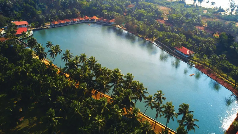 veda5-best-lake-facing-retreat-nearby-arambol-beach-in-goa-india-ayurveda-panchakarma-naturopathy-yoga-wellness1749467908.webp
