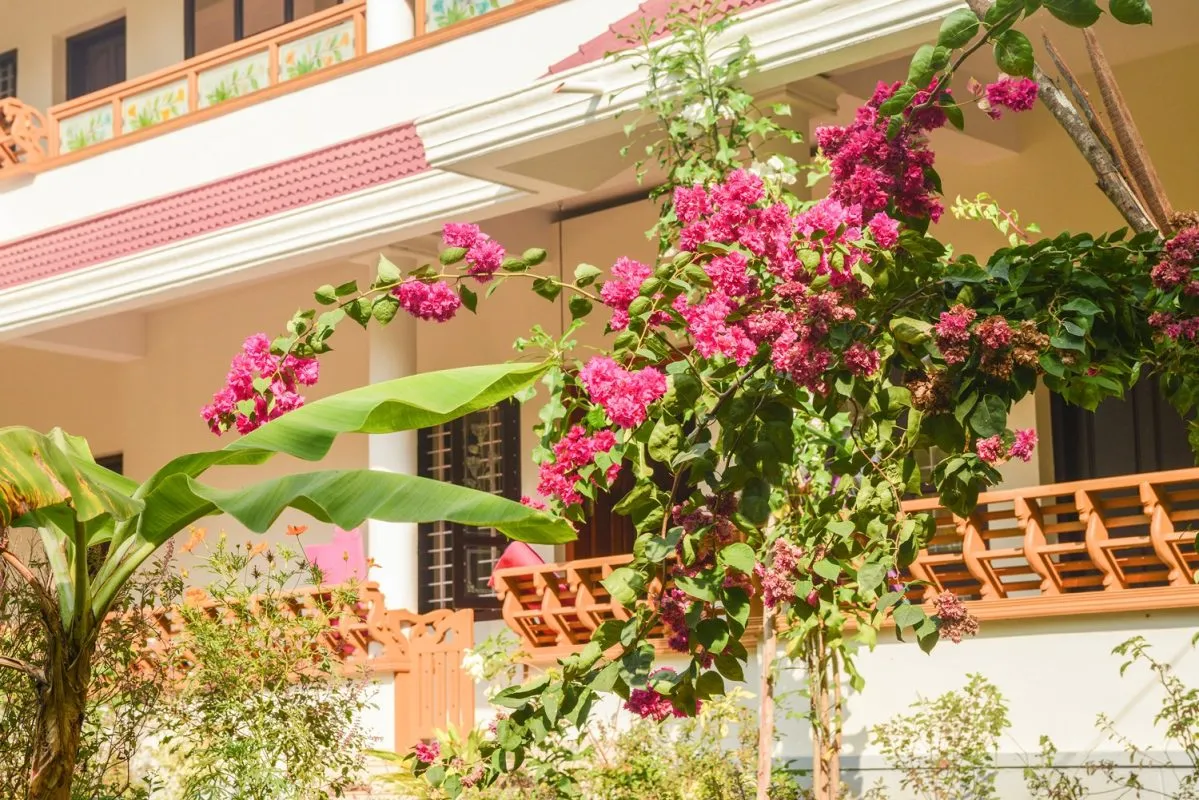 sharanagati yogahaus (24)1752754265.webp