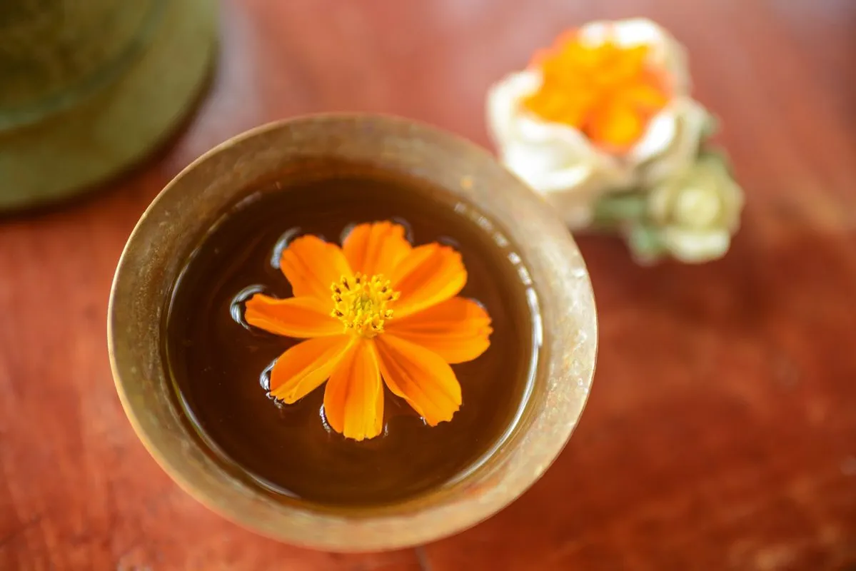 sharanagati yogahaus (29)1752754262.webp