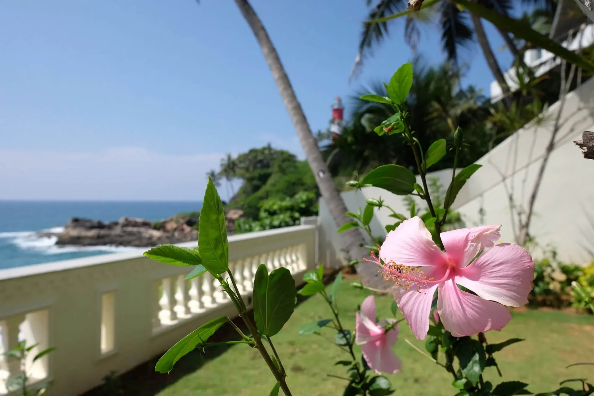 rockholm beach ayurveda retreat (50)1755066783.webp