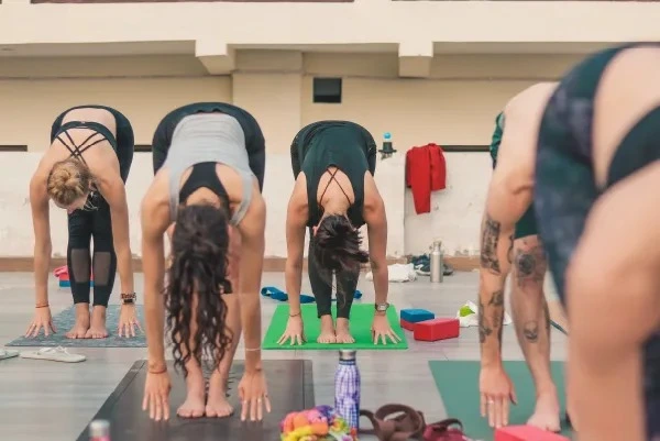 namaste yoga india231755174014.webp