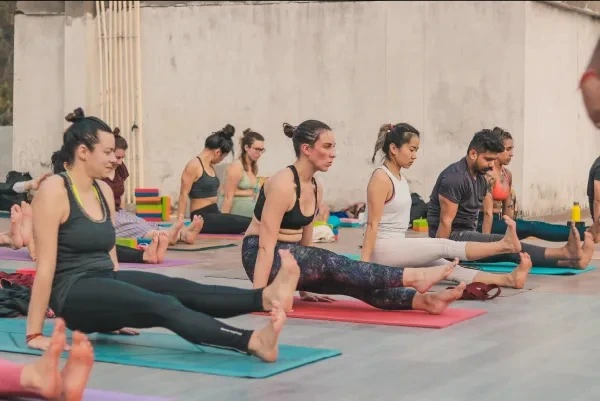 namaste yoga india241755174015.webp