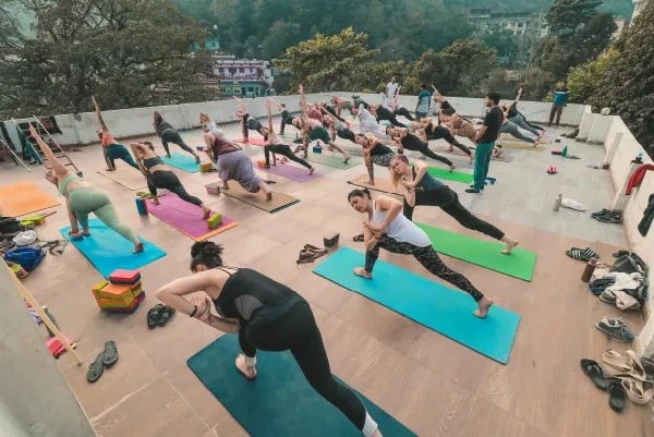 namaste yoga india261755174015.webp