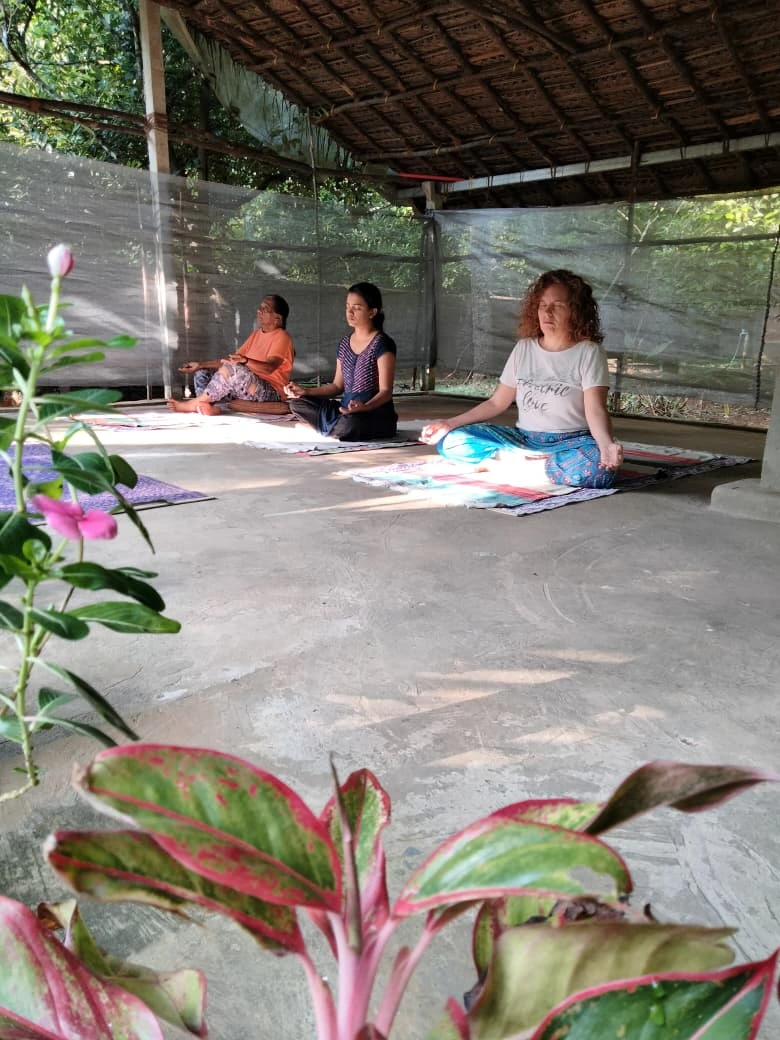 namaste ayurvedic wellness centre141761572493.webp