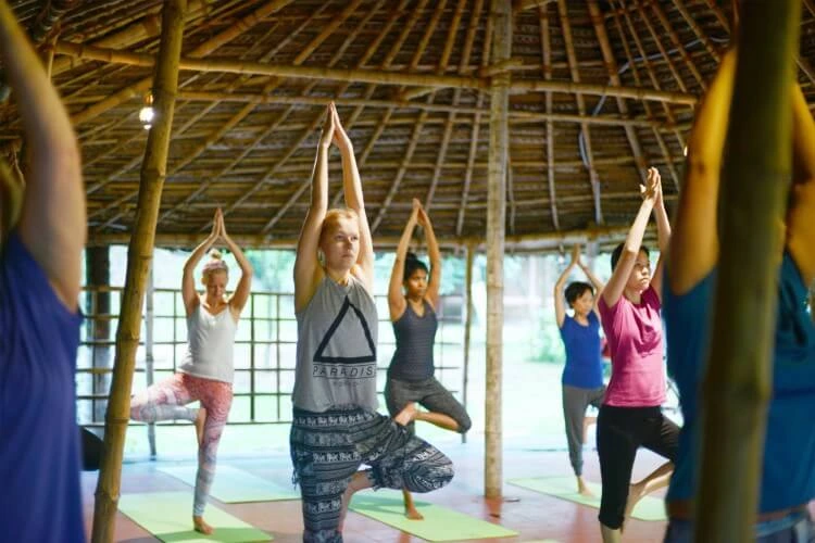 kairali the ayurvedic healing village kerala (11)1775131346.webp