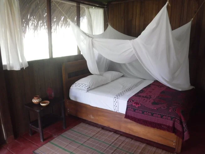 5 day vegetarian cooking and amazon yoga holiday in sacred valley, peru151705659672.webp