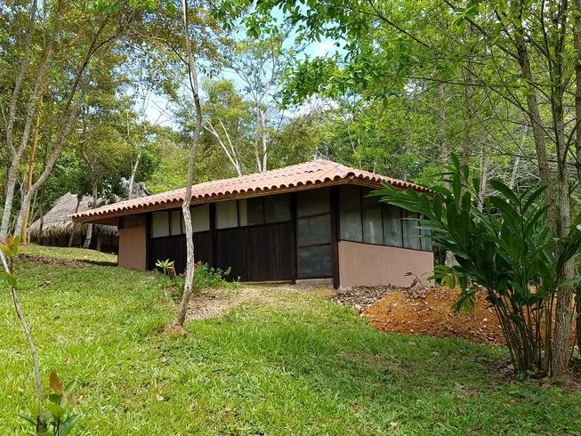 5 day vegetarian cooking and amazon yoga holiday in sacred valley, peru161705659673.webp