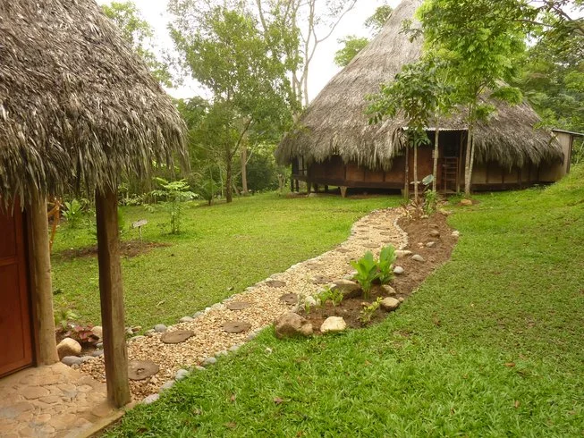 5 day vegetarian cooking and amazon yoga holiday in sacred valley, peru211705659674.webp