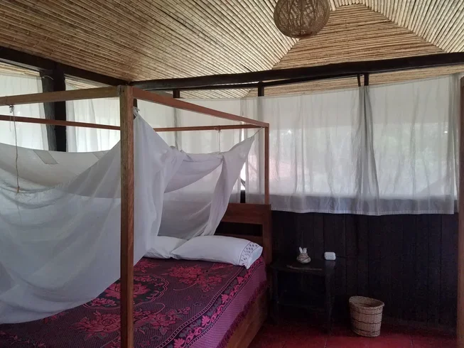 5 day vegetarian cooking and amazon yoga holiday in sacred valley, peru61705659670.webp