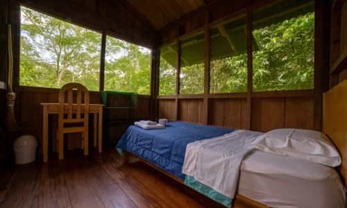 6 day ayahuasca retreat with peruvian shipibo healers in peru11705653668.webp