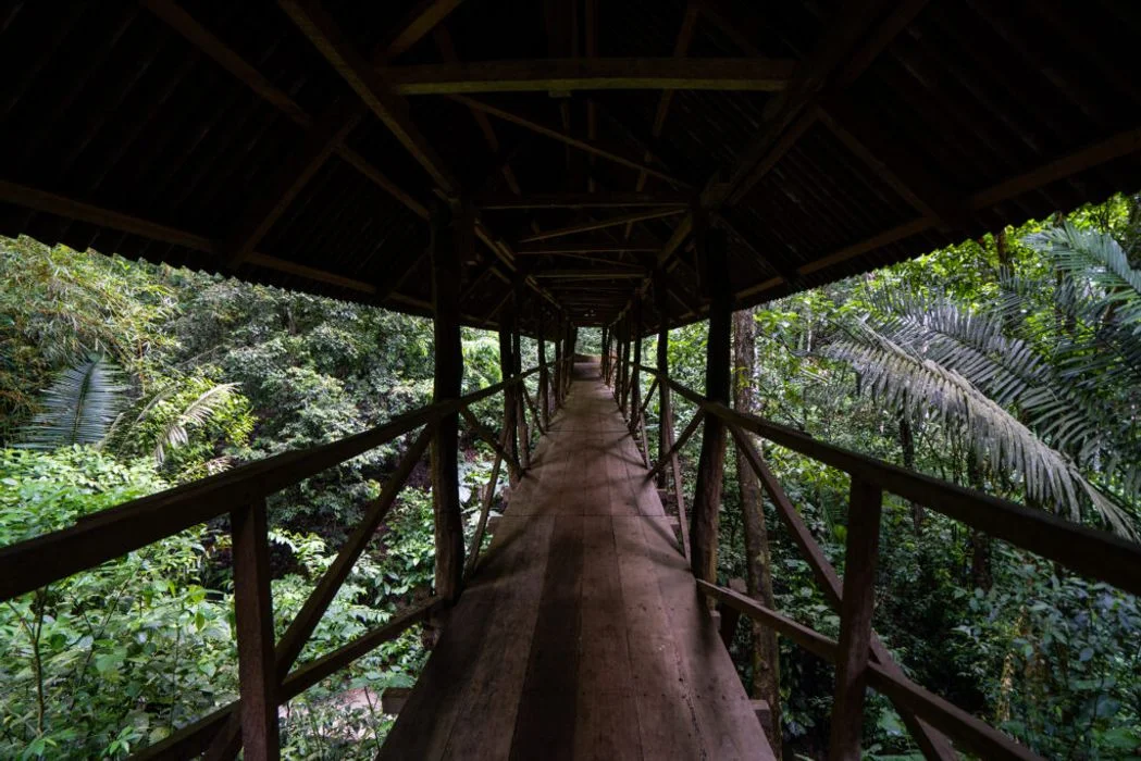 6 day ayahuasca retreat with peruvian shipibo healers in peru191705653672.webp