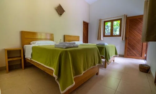 6 day ayahuasca retreat with peruvian shipibo healers in peru31705653668.webp